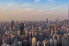 崇明區(qū)新興企業(yè)觀花博系列活動(dòng)拉開序幕